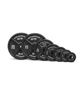 Disque en acier AFW cast iron (Poids: 10kg)