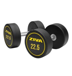 Haltères ronds caoutchouc Ziva Performance (paire) (Poids: 22.5kg)