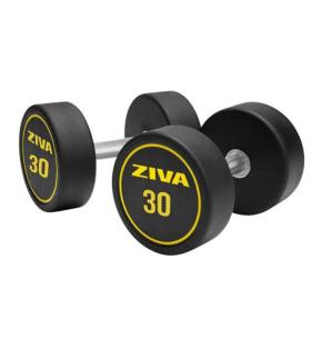 Haltères ronds caoutchouc Ziva Performance (paire) (Poids: 30kg)