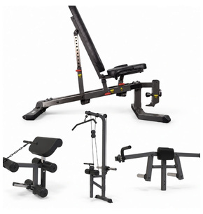 COPY COPY: Banc Multiposition FID ION fitness MB1000