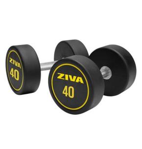 Haltères ronds caoutchouc Ziva Performance (paire) (Poids: 40kg)