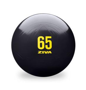 Fitball Ziva Essential PRO Anti-Burst Core-Fit Ball Noir