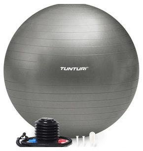 Gymball Tunturi 90 cm Argent Anti-crevaison