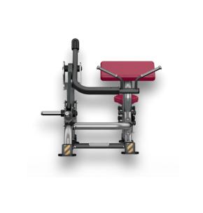 Machine de biceps BH PL Series PL130