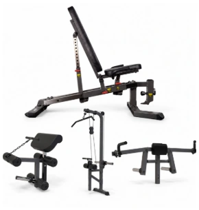 COPY COPY: Banc Multiposition FID ION fitness MB1000