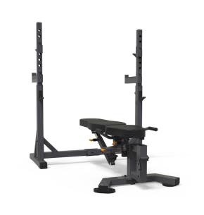 Banc multifonction ION Fitness IF503