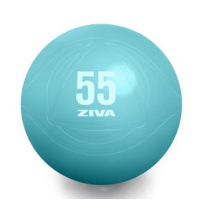 Fitball Ziva Chic Turquoise