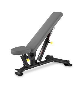 Multi position bench BH L825BB