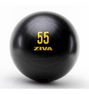 Fitball Ziva Essential PRO Anti-Burst Core-Fit Ball Noir (Diamètre: 55cm)