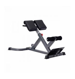 Banc lombaires Titanium Strength BH45 45 degrés