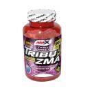 Amix Tribu ZMA - 90 comprimés Amix Tribu ZMA - 90 comprimés