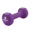 Haltère Vinyle Bodytone 2 kg (1 unité) Haltère Vinyle Bodytone 2 kg (1 unité)