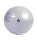 Reebok Gym Ball - Ballon d'entraînement, Mixte, Gris 65cm Reebok Gym Ball - Ballon d'entraînement, Mixte, Gris 65cm