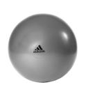 Gymball Adidas Gris