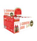 GoldNutrition L-Carnitine 3000mg - 20 x 10 ml GoldNutrition L-Carnitine 3000mg - 20 x 10 ml