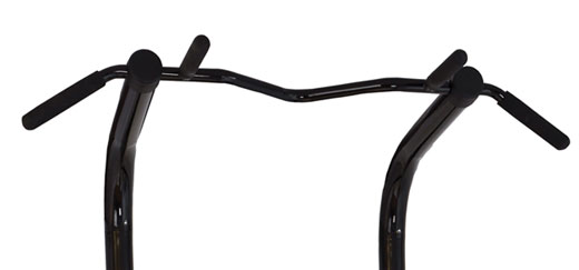 Chaise Romaine Bruce Lee Signature Station de Pull-Ups