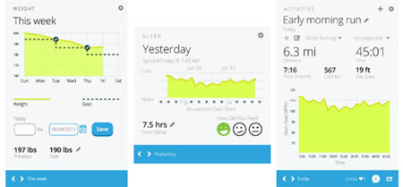 vivofit
